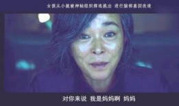 魔女在线观看免费观看,揭秘神秘魔法世界
